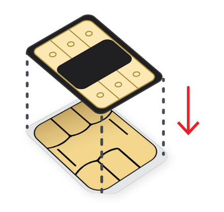 Flexiroam X: Microchip SIM Installation & Setup Guide