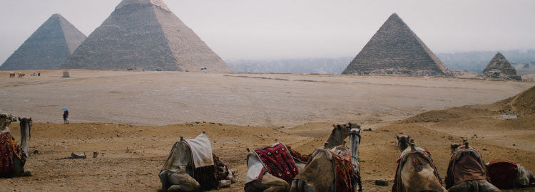 Egypt Travel SIM
