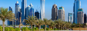Flexiroam Dubai (UAE) Tourist eSIM