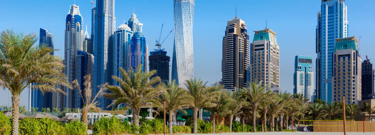 Dubai Travel SIM